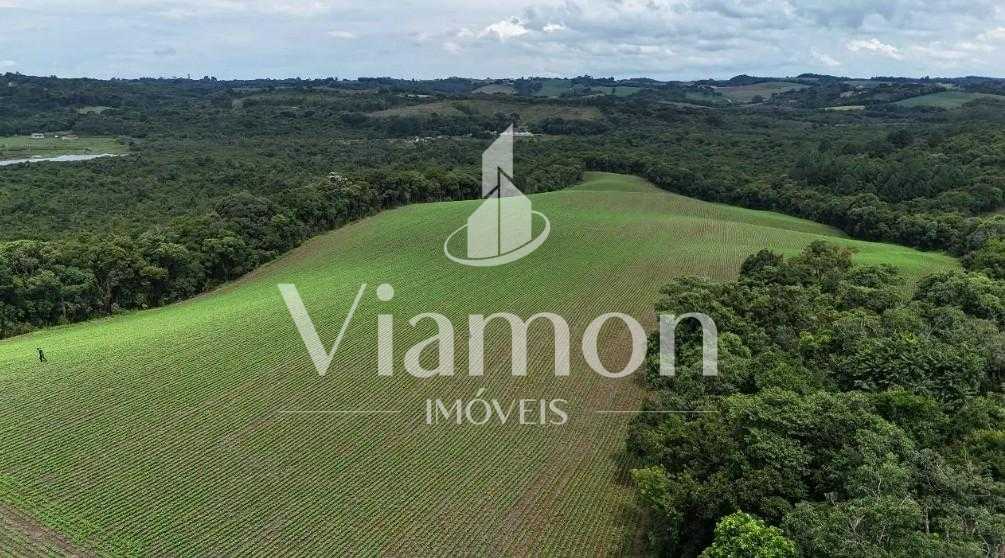 Terreno de 10 Alqueires à Venda em Araucária  Oportunidade Úni...