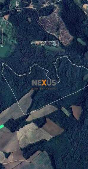 Terreno de 10 Alqueires à Venda em Araucária  Oportunidade Úni...