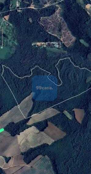 Terreno de 10 Alqueires à Venda em Araucária  Oportunidade Úni...