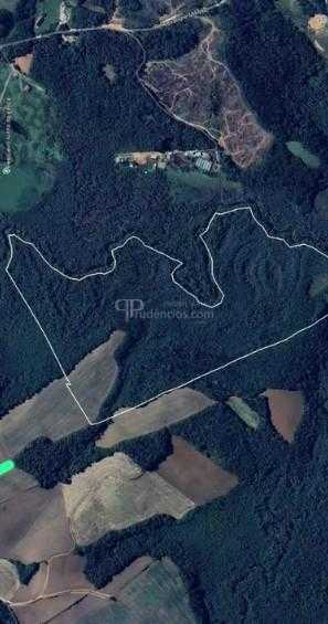 Terreno de 10 Alqueires à Venda em Araucária  Oportunidade Úni...