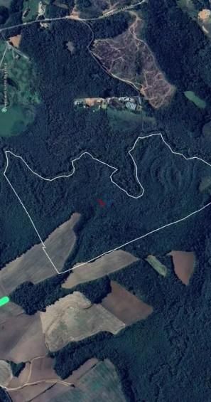 Terreno de 10 Alqueires à Venda em Araucária  Oportunidade Úni...