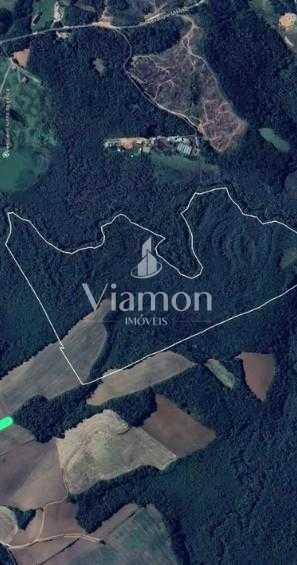 Terreno de 10 Alqueires à Venda em Araucária  Oportunidade Úni...