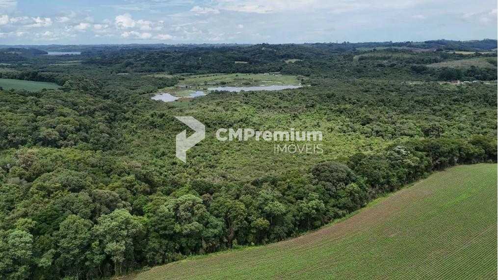 Terreno de 10 Alqueires à Venda em Araucária  Oportunidade Úni...