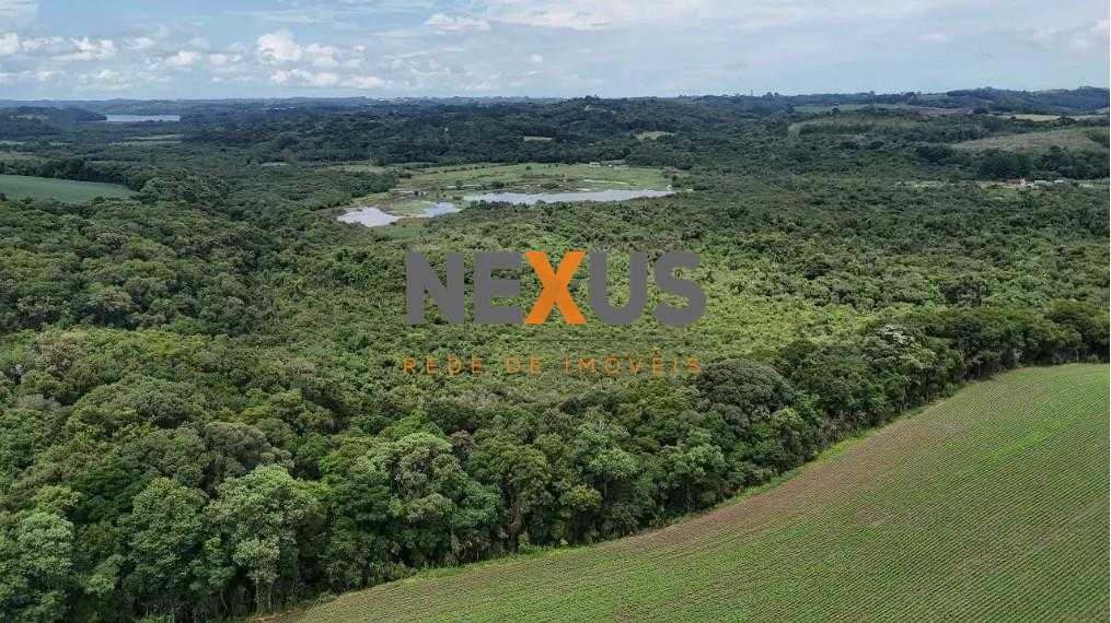 Terreno de 10 Alqueires à Venda em Araucária  Oportunidade Úni...