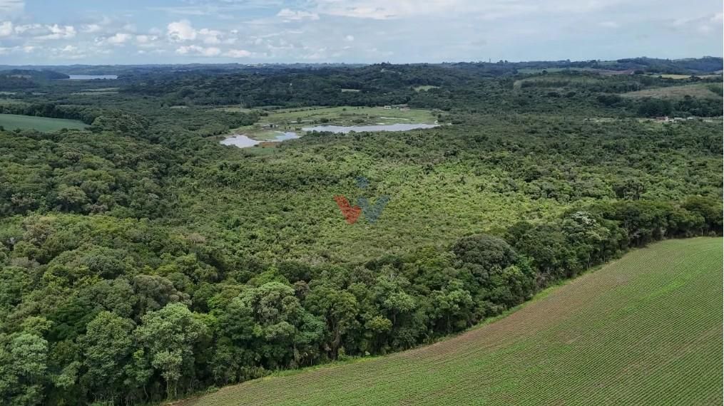 Terreno de 10 Alqueires à Venda em Araucária  Oportunidade Úni...