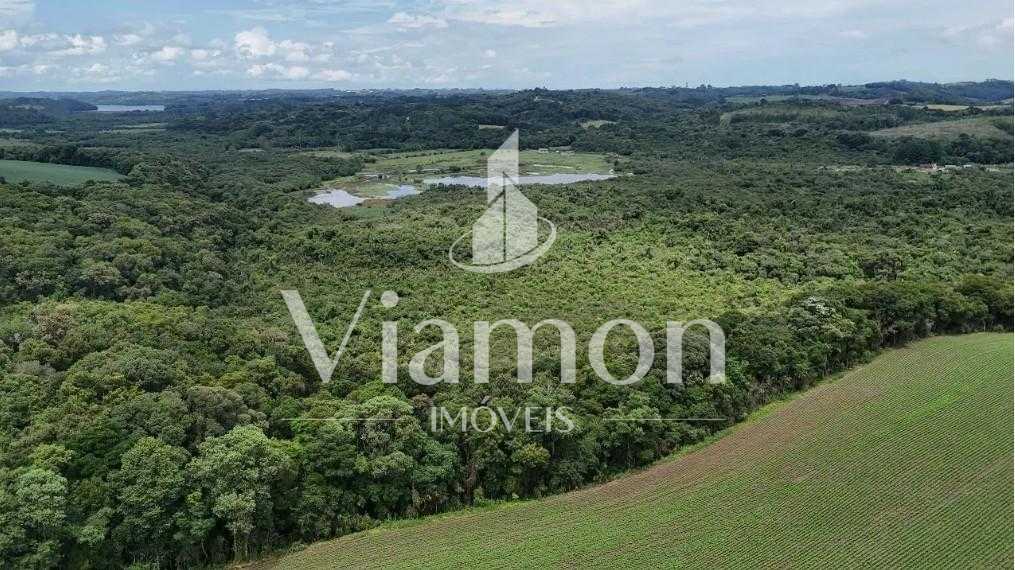 Terreno de 10 Alqueires à Venda em Araucária  Oportunidade Úni...