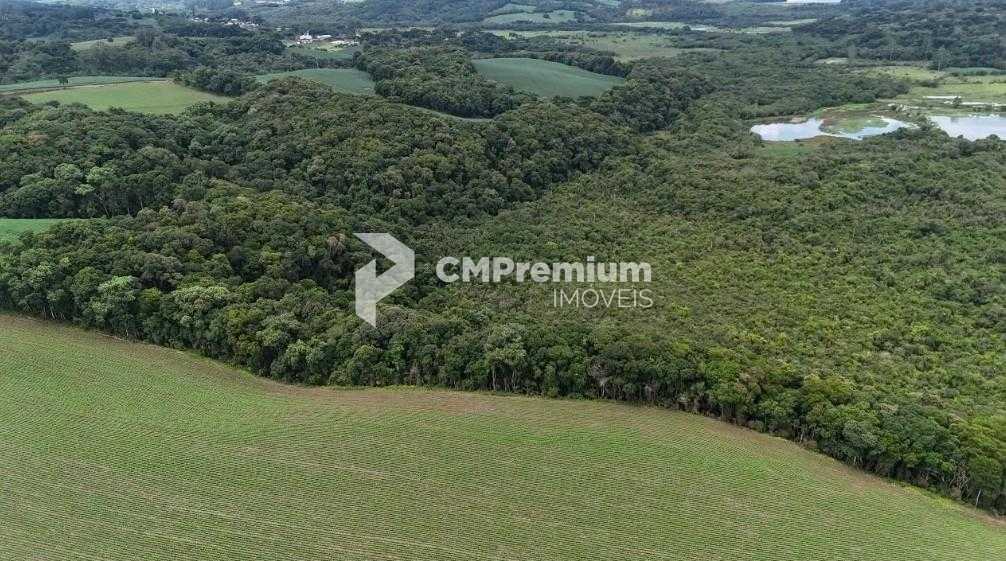 Terreno de 10 Alqueires à Venda em Araucária  Oportunidade Úni...