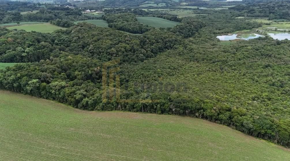 Terreno de 10 Alqueires à Venda em Araucária  Oportunidade Úni...