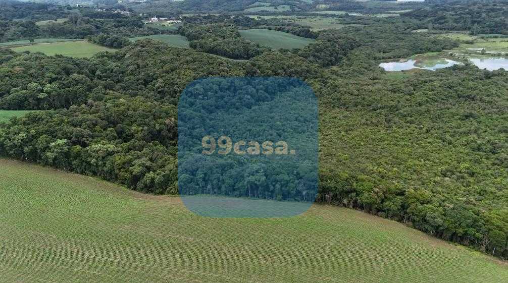 Terreno de 10 Alqueires à Venda em Araucária  Oportunidade Úni...