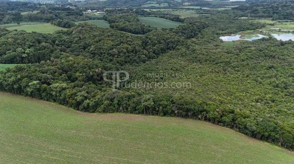Terreno de 10 Alqueires à Venda em Araucária  Oportunidade Úni...
