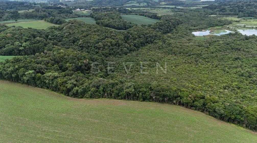 Terreno de 10 Alqueires à Venda em Araucária  Oportunidade Úni...
