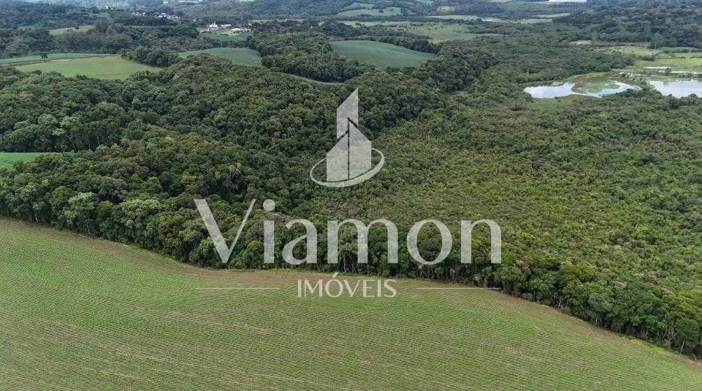 Terreno de 10 Alqueires à Venda em Araucária  Oportunidade Úni...