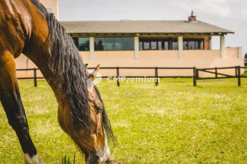 Haras de Alto Padrão em Curitiba  52 ha com Estrutura Completa...