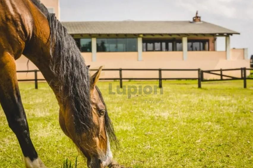 Haras de Alto Padrão em Curitiba  52 ha com Estrutura Completa...