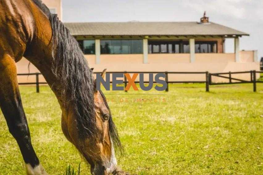 Haras de Alto Padrão em Curitiba  52 ha com Estrutura Completa...