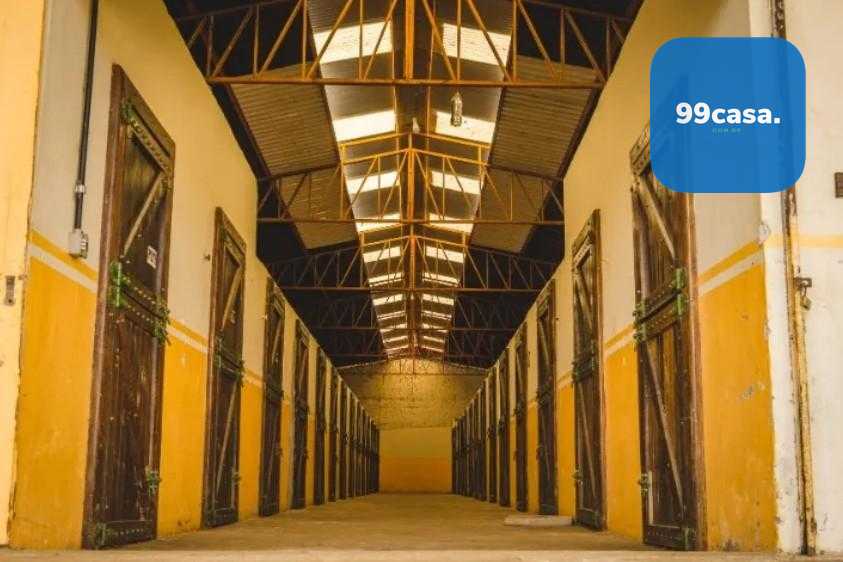 Haras de Alto Padrão em Curitiba  52 ha com Estrutura Completa...