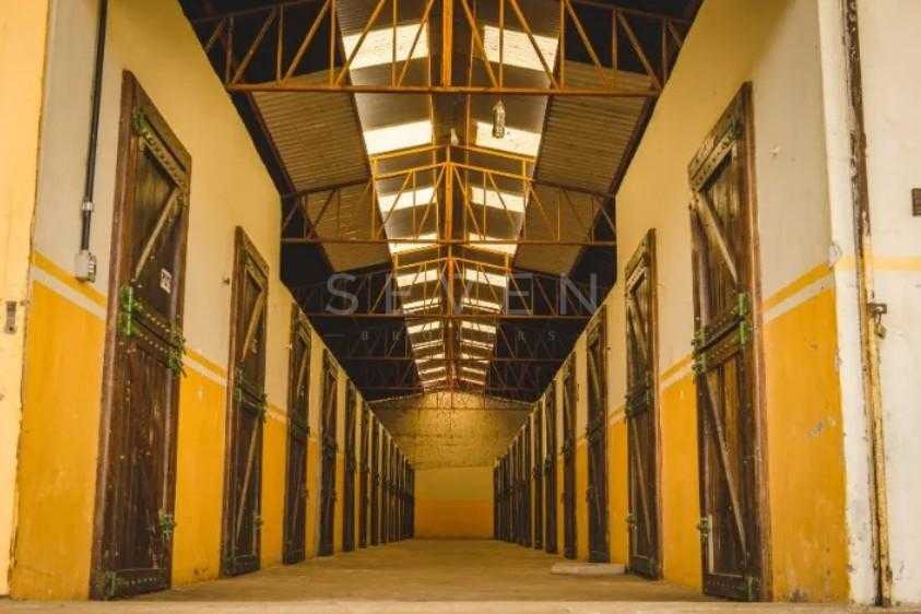 Haras de Alto Padrão em Curitiba  52 ha com Estrutura Completa...