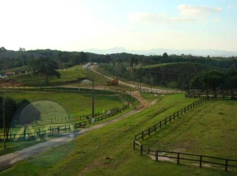 Haras de Alto Padrão em Curitiba  52 ha com Estrutura Completa...