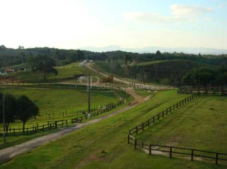 Haras de Alto Padrão em Curitiba  52 ha com Estrutura Completa...