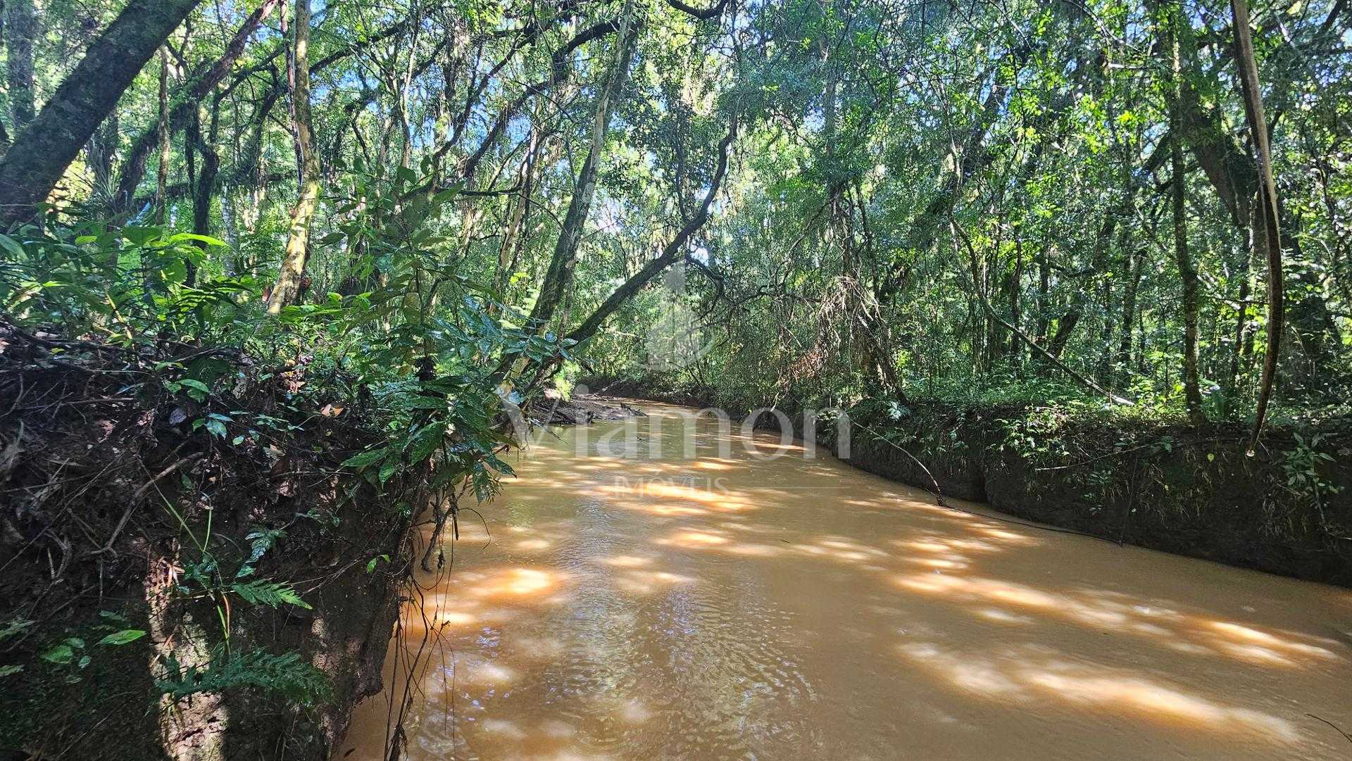 Chácara com 10000 m , registrada, por R  350.000,00 - Zona Rur...