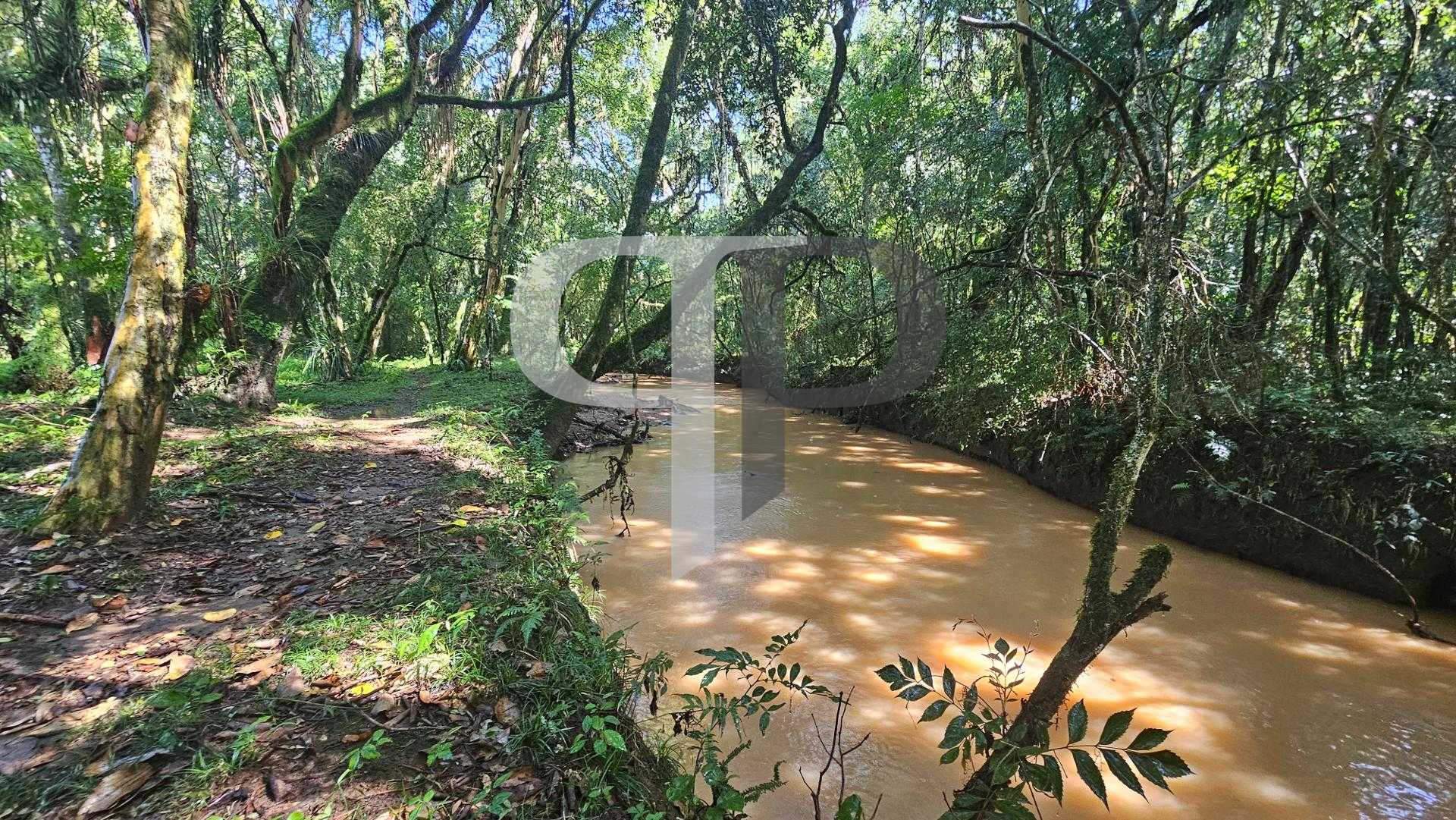 Chácara com 10000 m , registrada, por R  379.000,00 - Zona Rur...