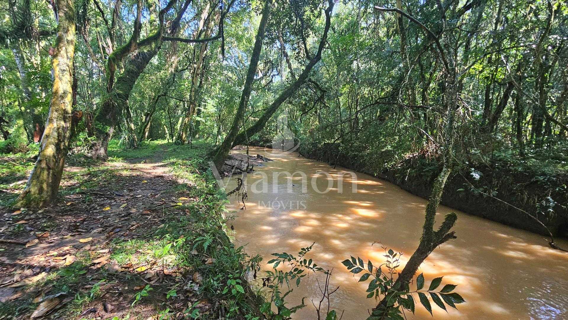 Chácara com 10000 m , registrada, por R  379.000,00 - Zona Rur...