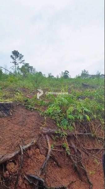 Terreno Rural 17 Alqueires à Venda Próximo a Campo Largo  Plan...