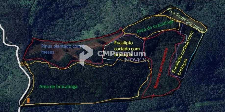 Terreno Rural 17 Alqueires à Venda Próximo a Campo Largo  Plan...