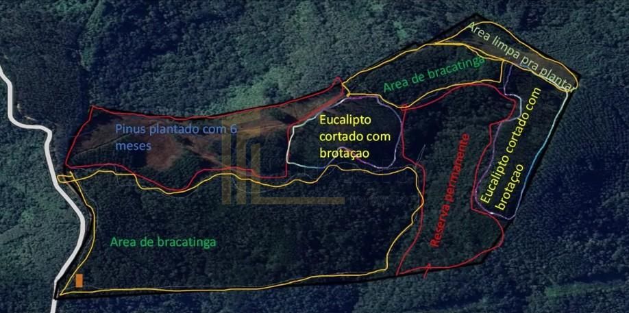 Terreno Rural 17 Alqueires à Venda Próximo a Campo Largo  Plan...