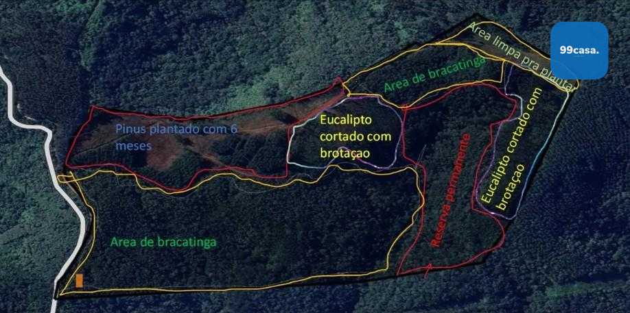 Terreno Rural 17 Alqueires à Venda Próximo a Campo Largo  Plan...