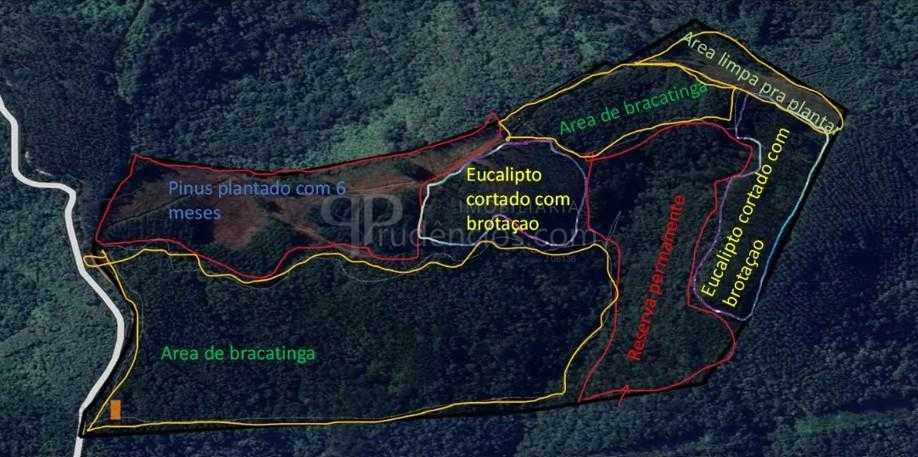 Terreno Rural 17 Alqueires à Venda Próximo a Campo Largo  Plan...