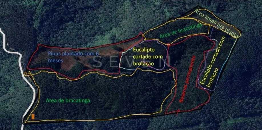 Terreno Rural 17 Alqueires à Venda Próximo a Campo Largo  Plan...