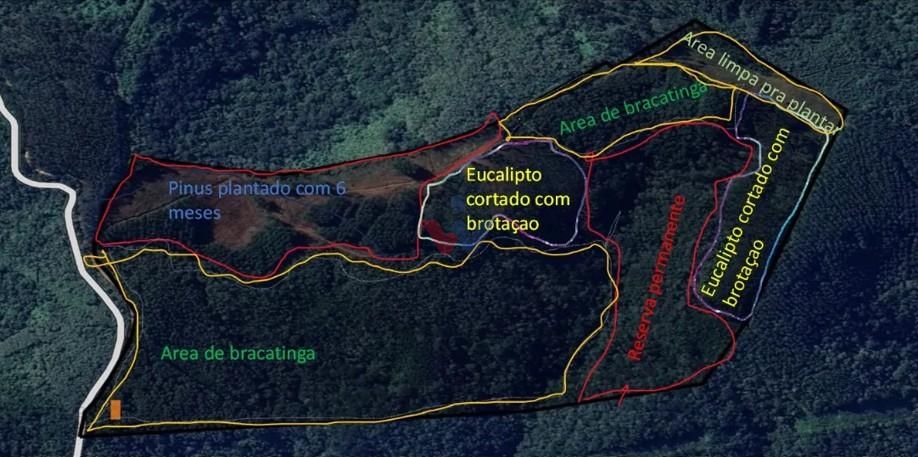 Terreno Rural 17 Alqueires à Venda Próximo a Campo Largo  Plan...