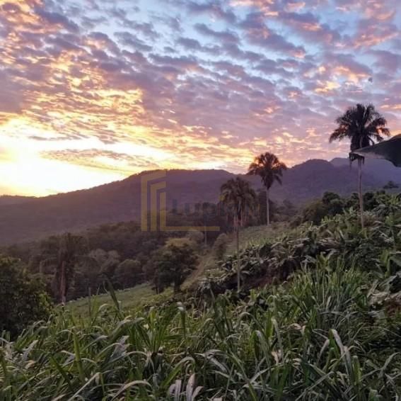 Sítio de 33 Hectares com Produção Agrícola e Potencial para Tu...