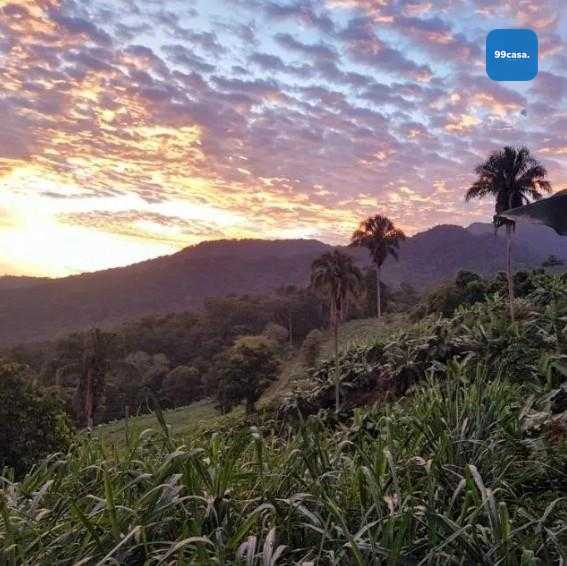Sítio de 33 Hectares com Produção Agrícola e Potencial para Tu...