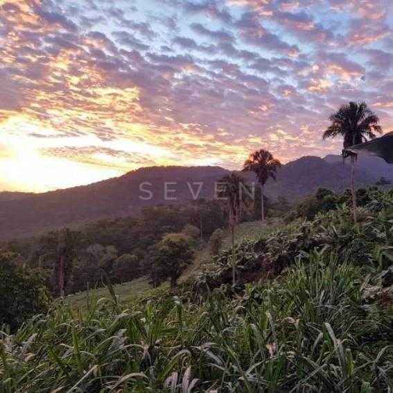 Sítio de 33 Hectares com Produção Agrícola e Potencial para Tu...