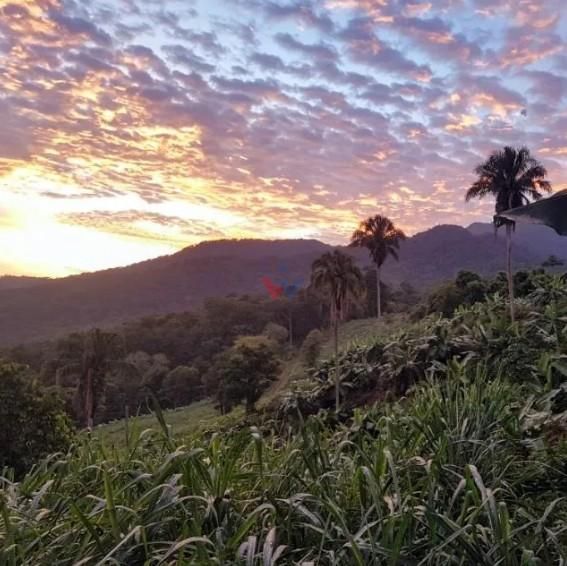 Sítio de 33 Hectares com Produção Agrícola e Potencial para Tu...