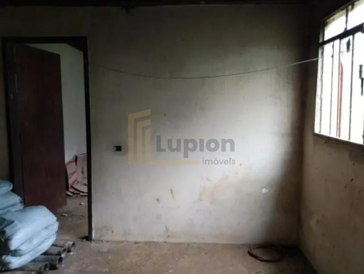 Sítio de 33 Hectares com Produção Agrícola e Potencial para Tu...