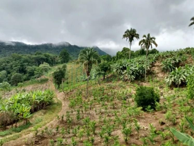 Sítio de 33 Hectares com Produção Agrícola e Potencial para Tu...