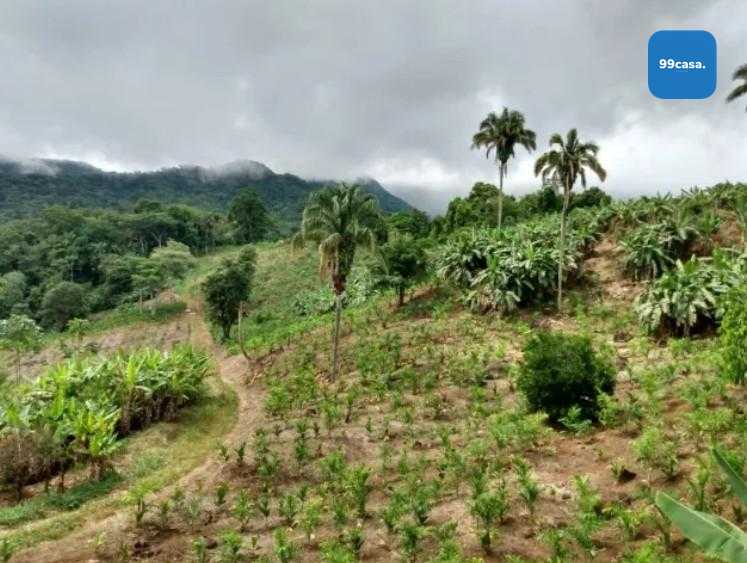 Sítio de 33 Hectares com Produção Agrícola e Potencial para Tu...