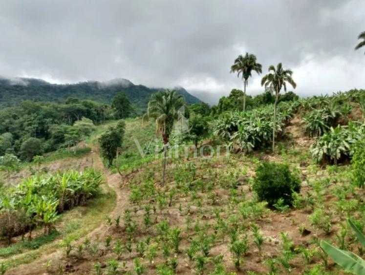 Sítio de 33 Hectares com Produção Agrícola e Potencial para Tu...