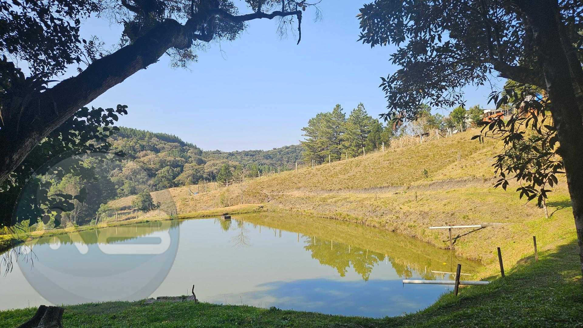 Linda Chácara 24.870 m  à Venda em São José dos Pinhais  Pisci...