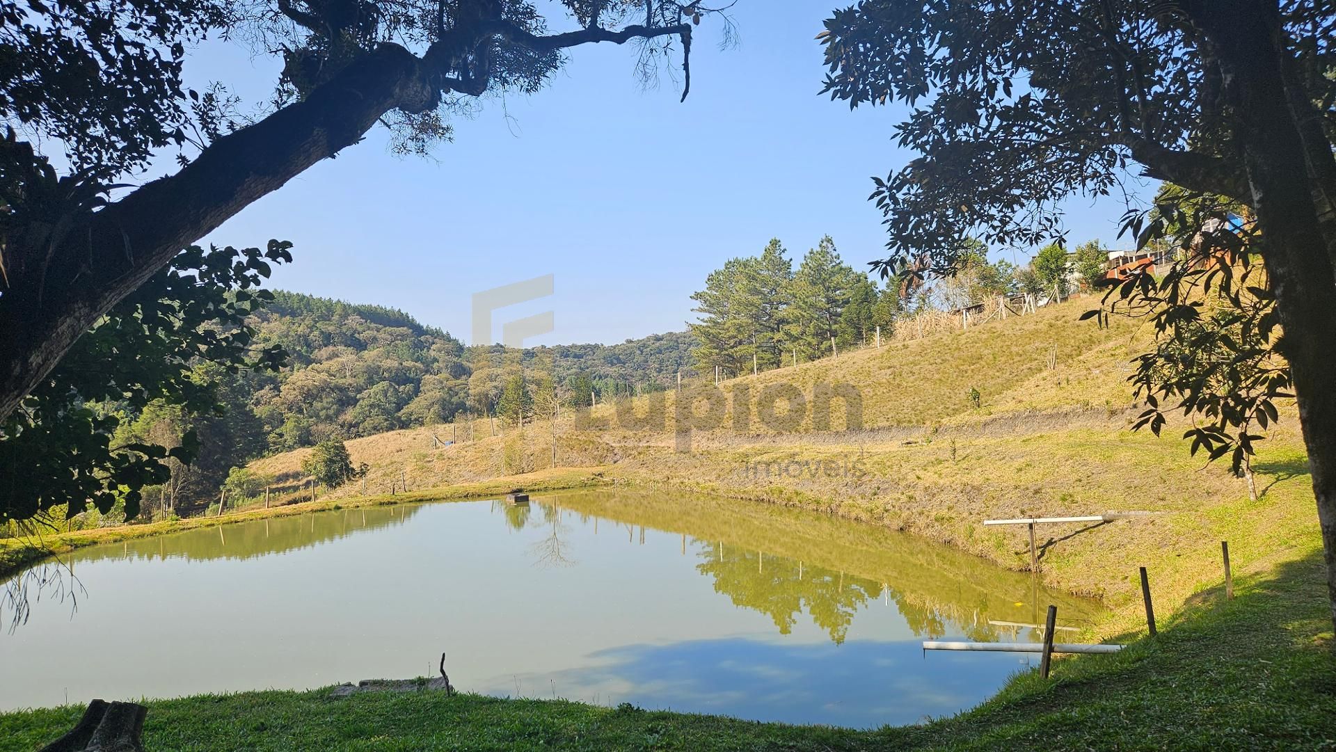 Linda Chácara 24.870 m  à Venda em São José dos Pinhais  Pisci...