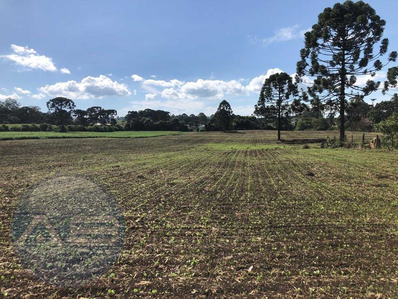 Terreno Industrial Comercial 19.400m  em Almirante Tamandaré  ...