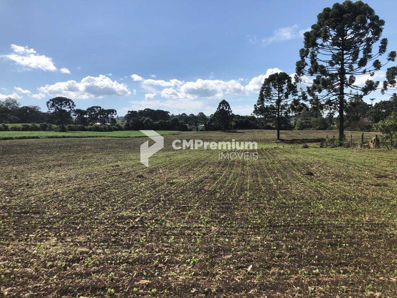 Terreno Industrial Comercial 19.400m  em Almirante Tamandaré  ...