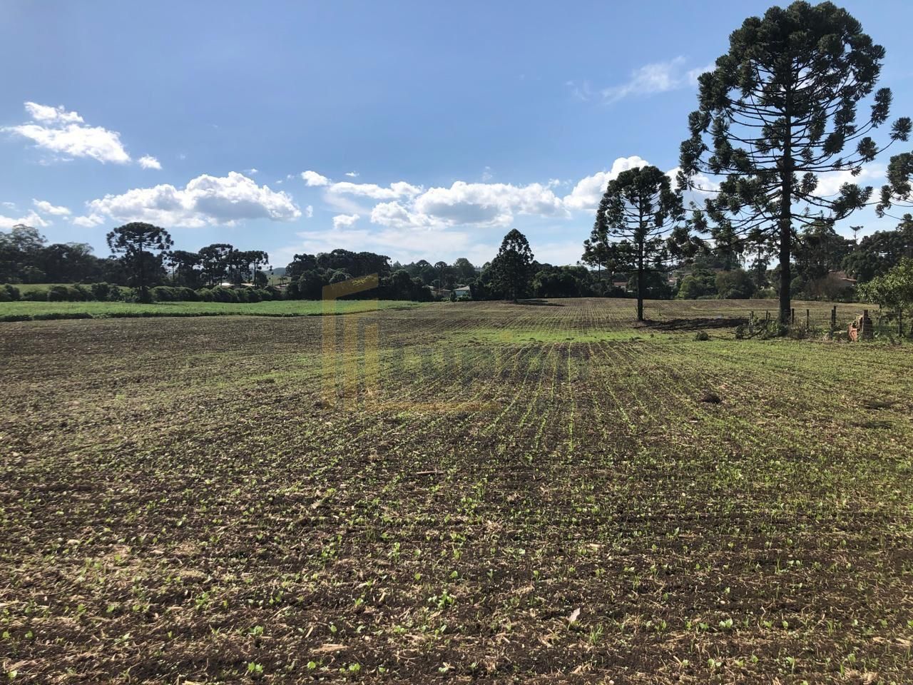 Terreno Industrial Comercial 19.400m  em Almirante Tamandaré  ...