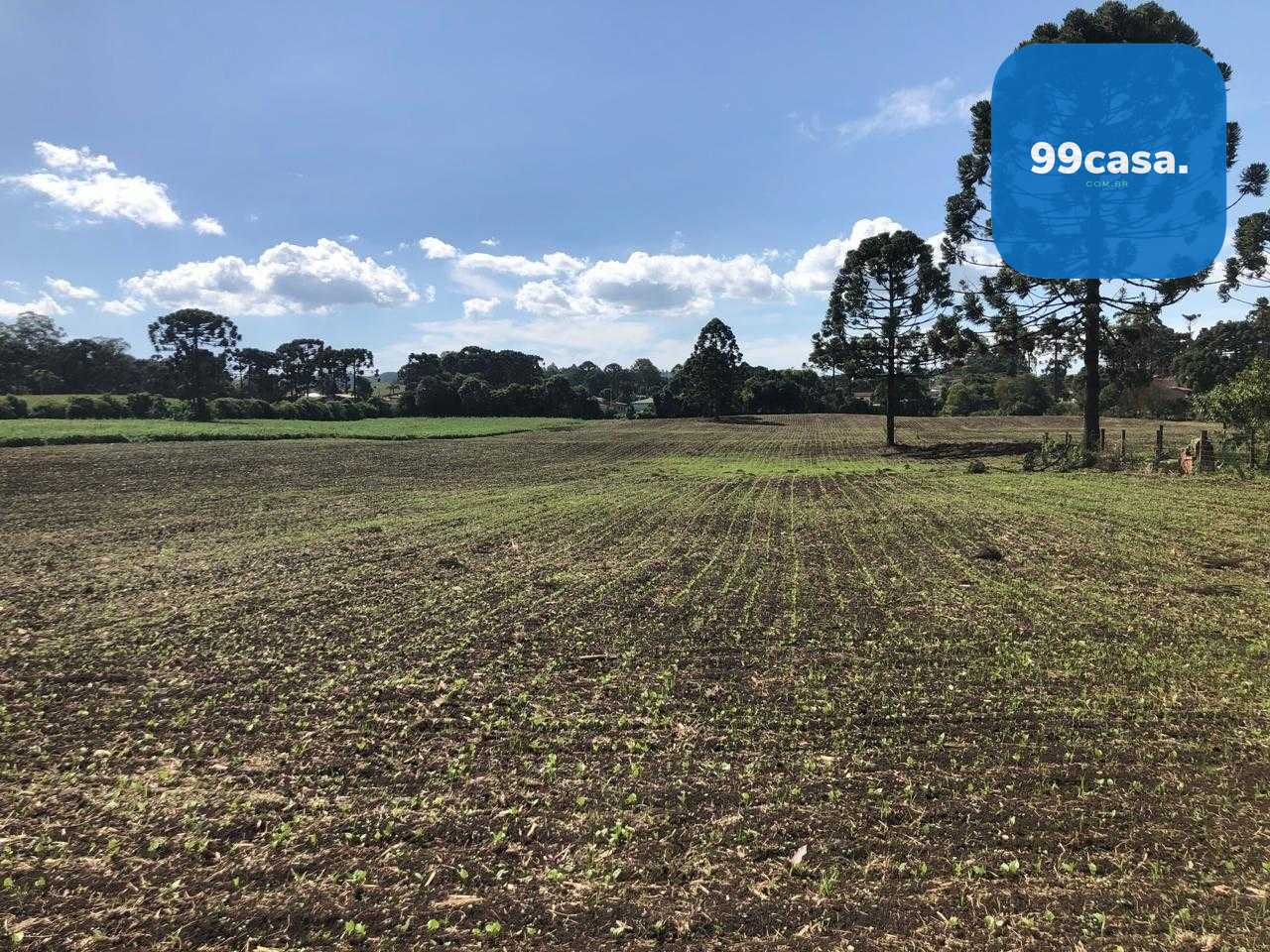 Terreno Industrial Comercial 19.400m  em Almirante Tamandaré  ...