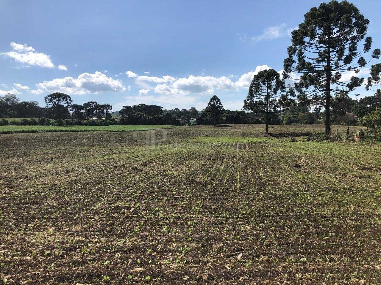 Terreno Industrial Comercial 19.400m  em Almirante Tamandaré  ...