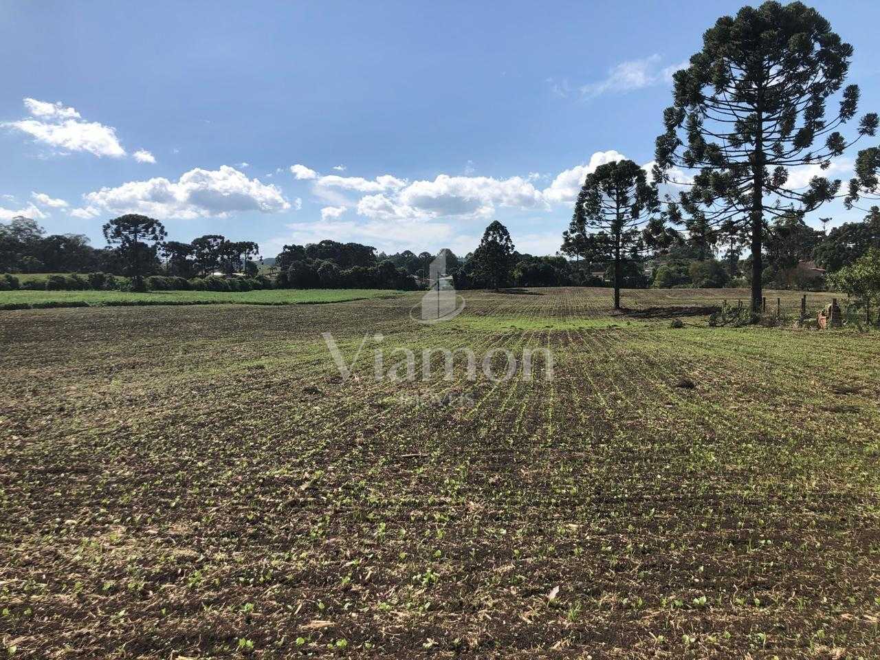 Terreno Industrial Comercial 19.400m  em Almirante Tamandaré  ...