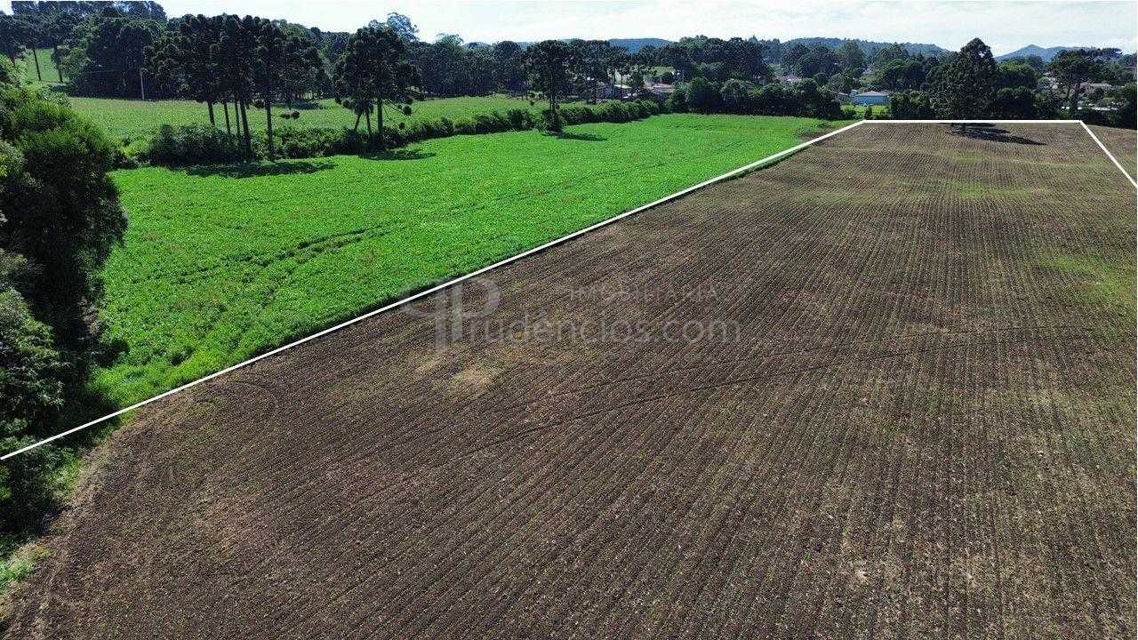Terreno Industrial Comercial 19.400m  em Almirante Tamandaré  ...